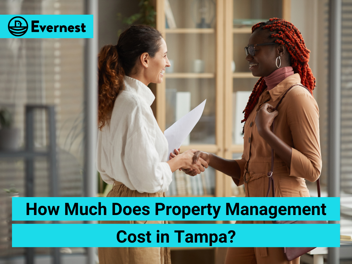 How Much Does Property Management Cost in Tampa?